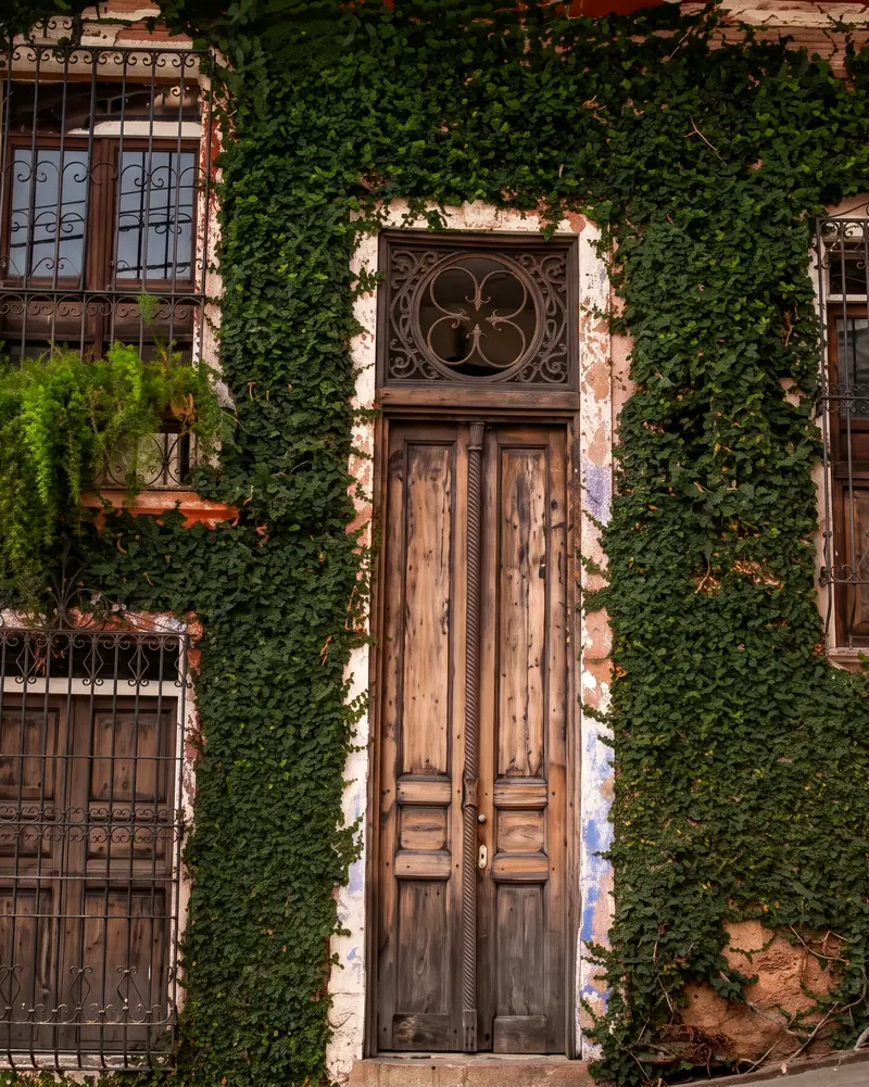 Puerta de madera de una casa antigua cubierta de enredadera en el barrio San Antonio