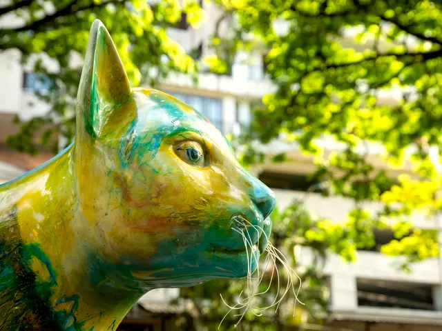 Detalle de una de las gatas del río