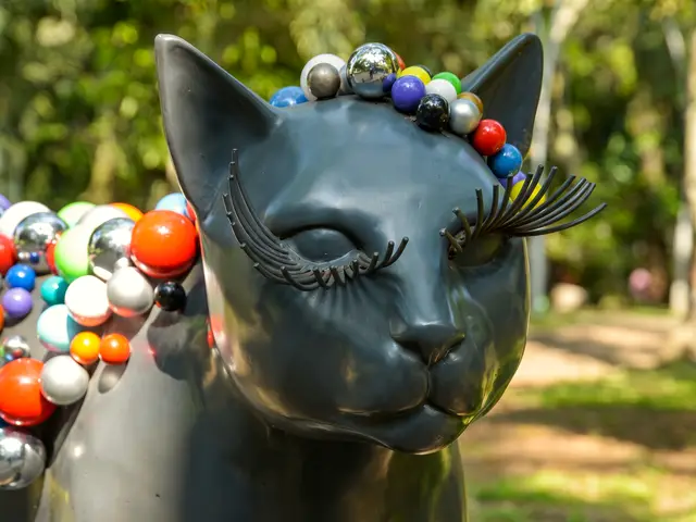 Una gata negra con collar de esferas de colores