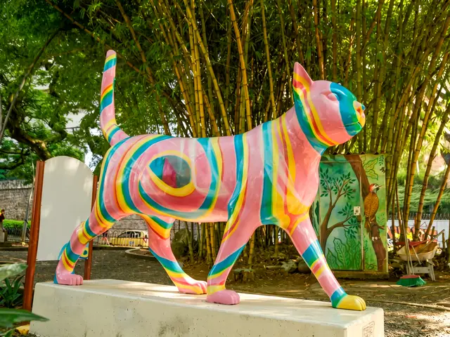 Una de las gatas del río, pintada de colores
